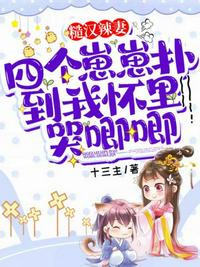 四合院：开局大雪夜捅娄子