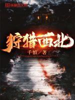 大宋权臣