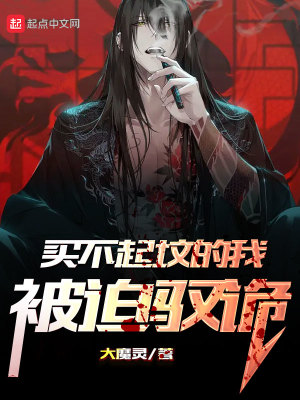 迷踪谍影